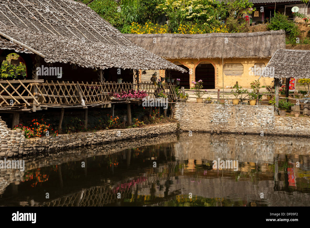 Magasin de thé dans un village de la minorité chinoise sur la frontière avec le Myanmar, Ban Rak Thai ou Mae Aw, le nord de la Thaïlande, Thaïlande Banque D'Images