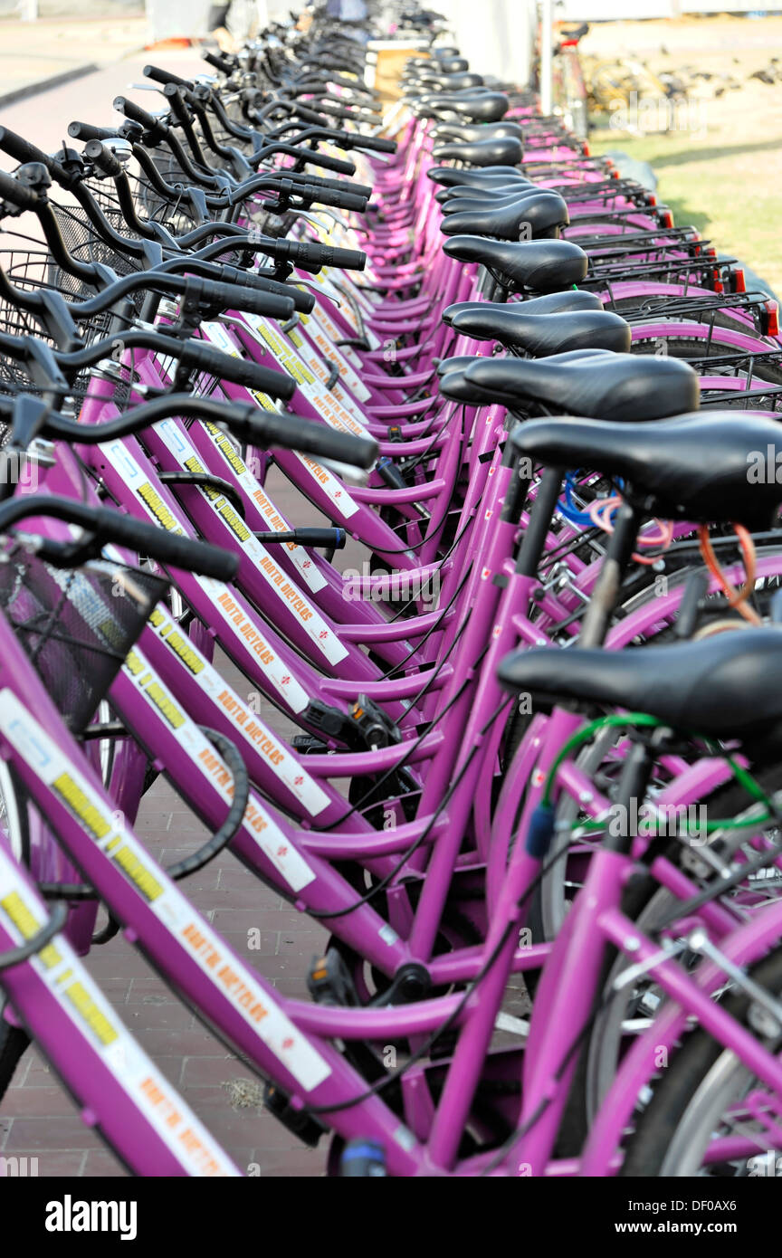 La location de vélos à la gare, gare centrale de Santa Maria Novella, Florence, Toscane, Italie, Europe Banque D'Images
