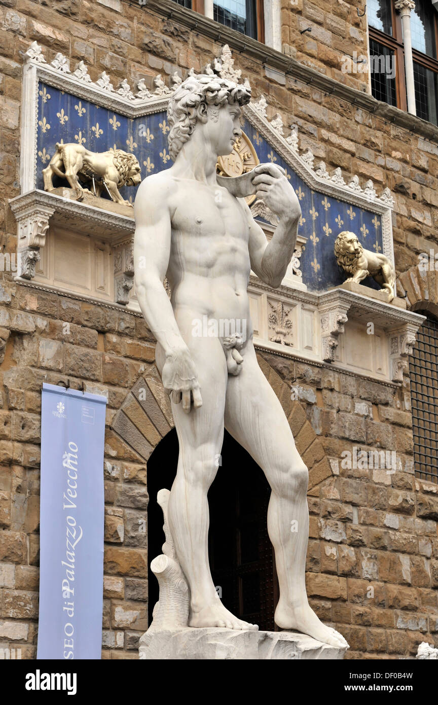 Statue de la renaissance de David, Michelangelo Buonarroti, Florence, UNESCO World Heritage Site, Toscane, Italie, Europe Banque D'Images