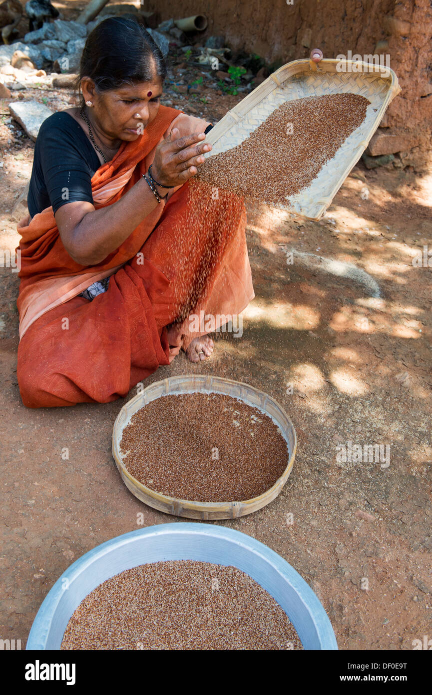 Village de l'Inde rurale femme Millet tamisage / Graines Graines Ragi avant de rectifier pour faire la farine Ragi. L'Andhra Pradesh. L'Inde Banque D'Images