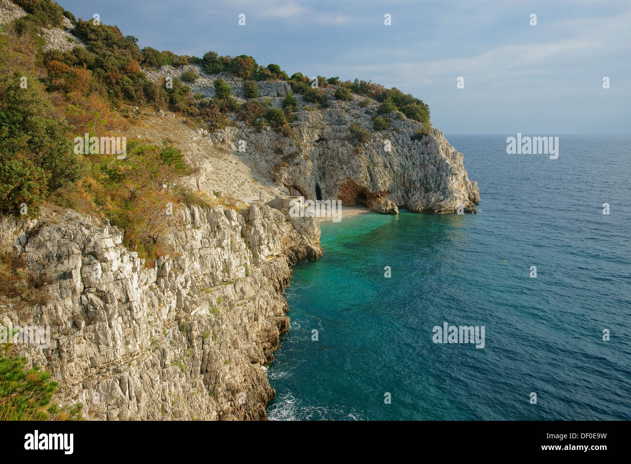 Falaises avec une petite plage, sur la Côte d'Istrie Brsk, Italy, Europe Banque D'Images