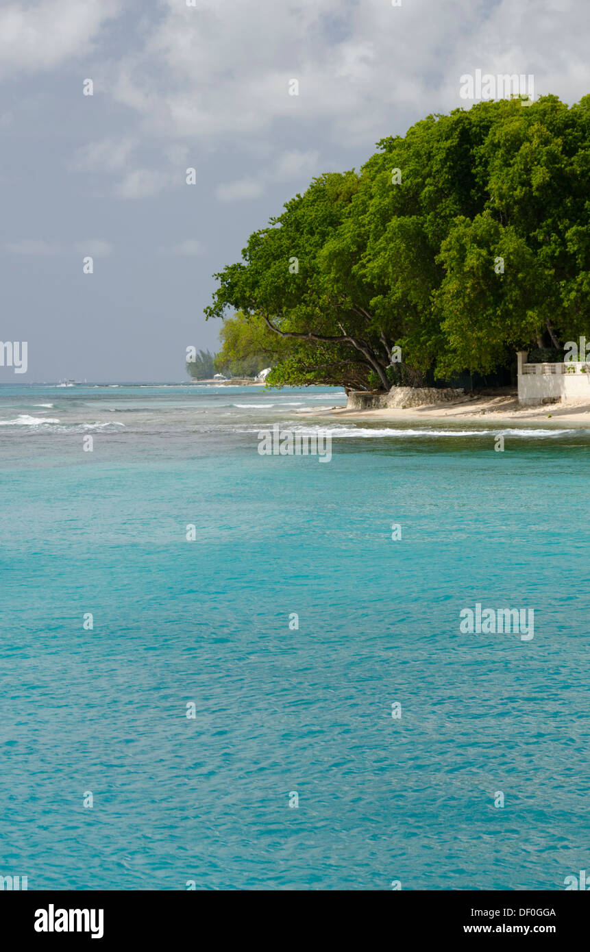 Caraïbes, Antilles, îles du Vent, de la Barbade, Payne's Bay. Banque D'Images