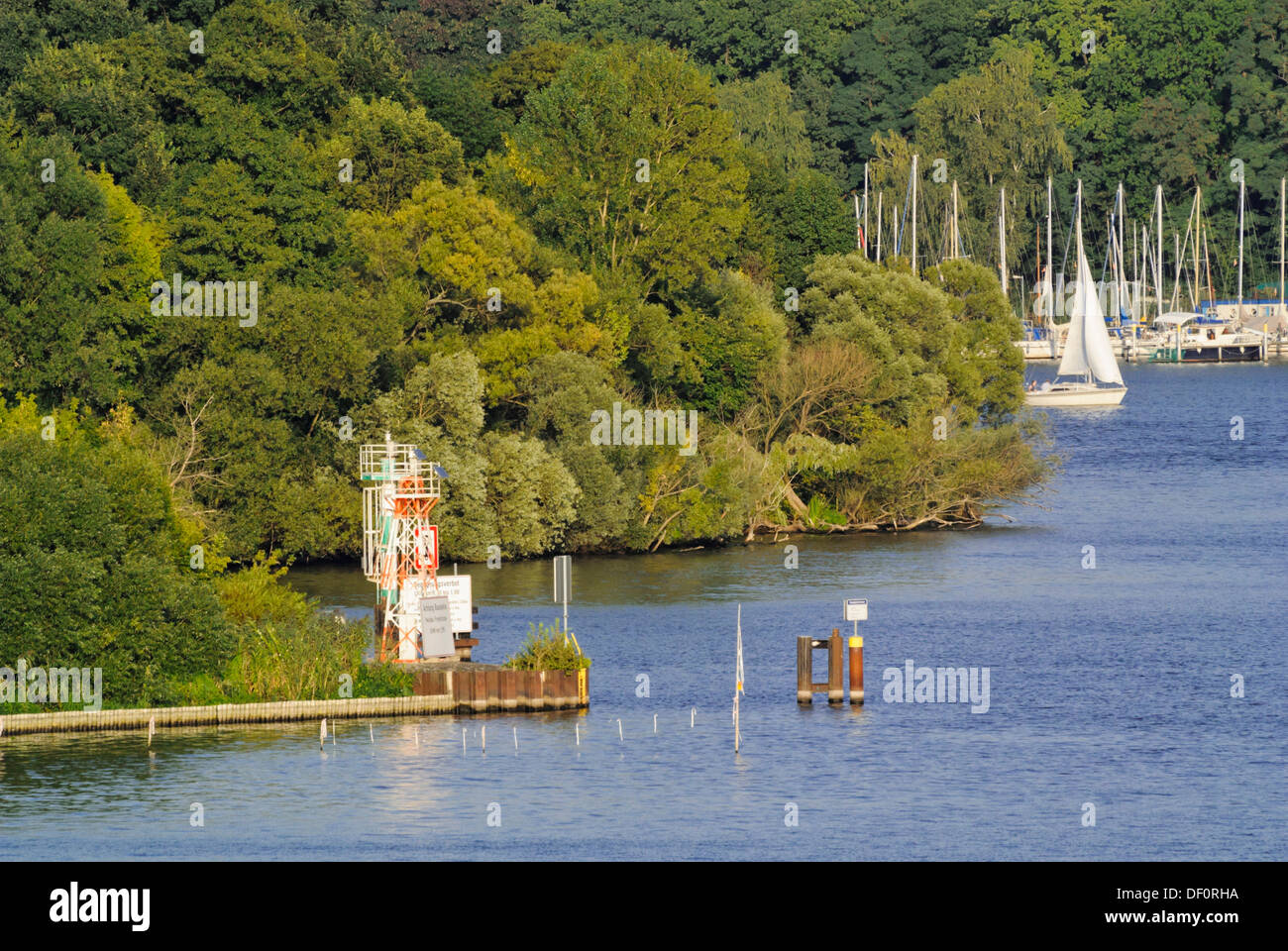 La havel à forêt alluviale près de pichelswerder, Berlin, Allemagne Banque D'Images