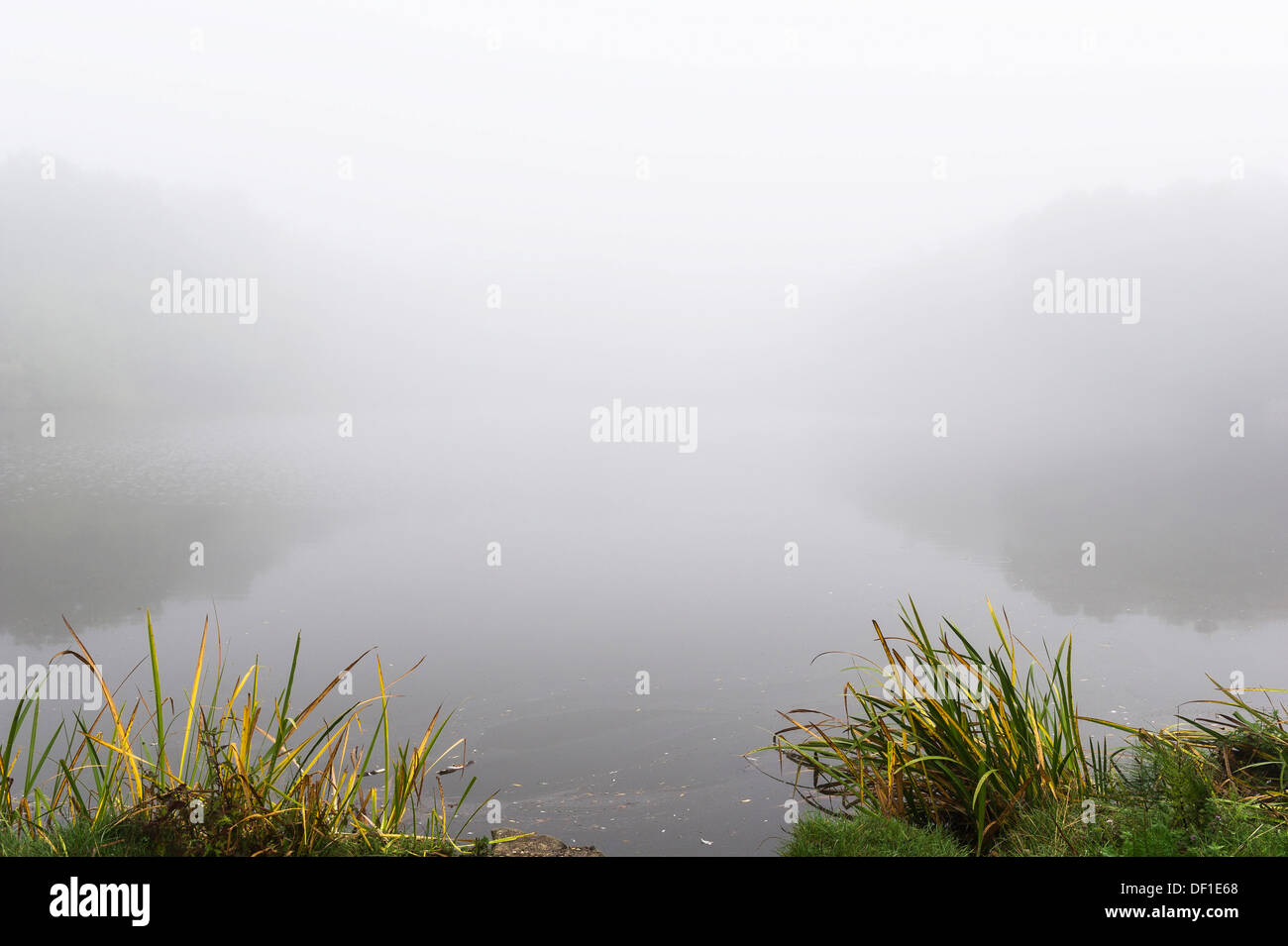 Tôt le matin, la brume au-dessus d'un lac dans l'Essex. Banque D'Images