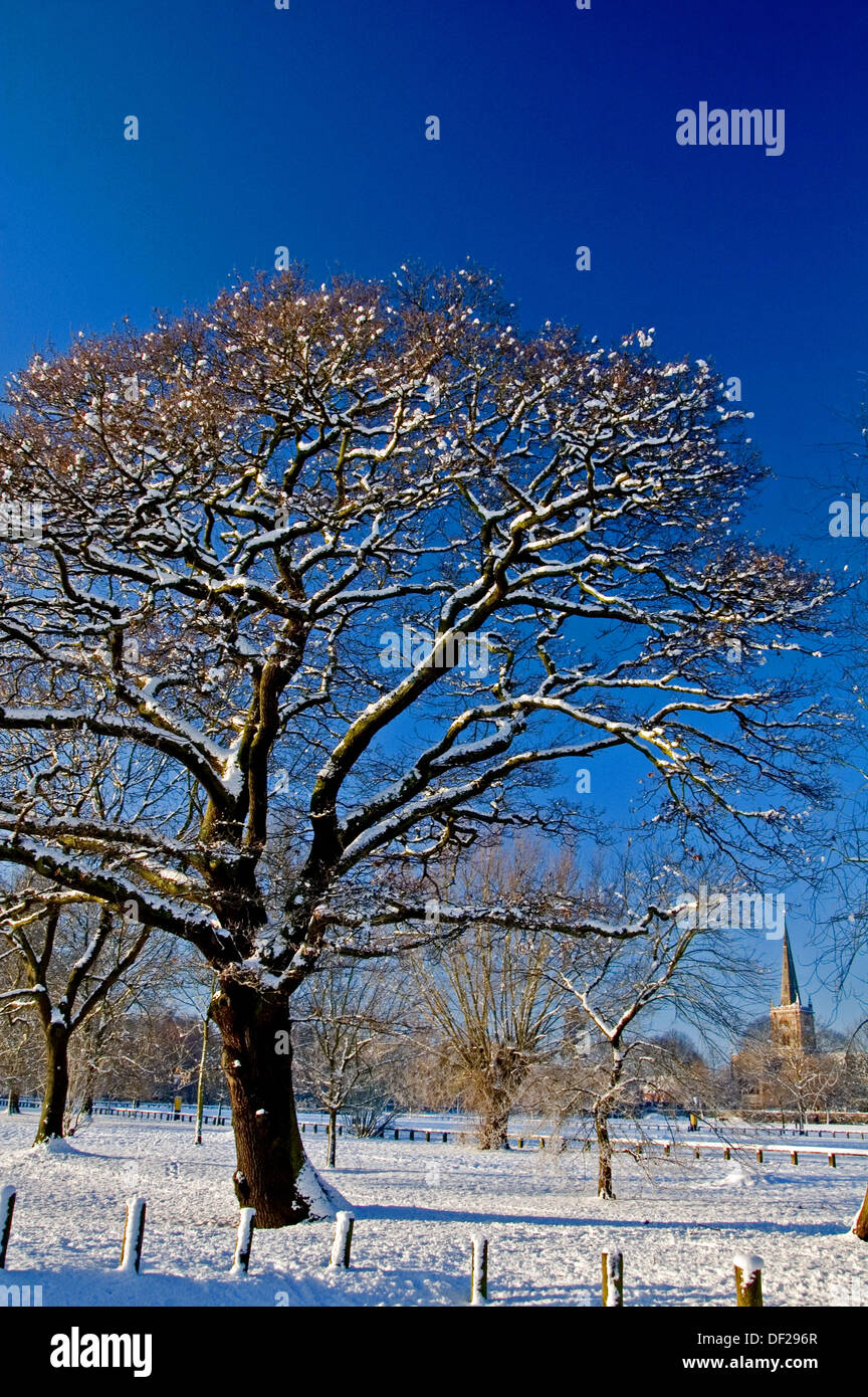 La neige, le ciel bleu et les arbres à feuilles caduques à Stratford upon Avon, Warwickshire, Angleterre Banque D'Images