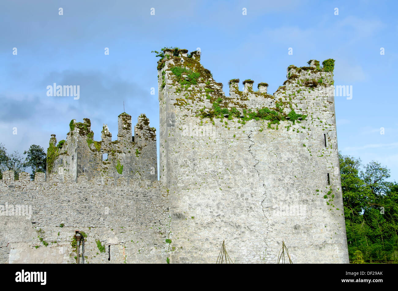 Tower et cheminées au château vieux de 800 ans attribuée aux Templiers à Castlemartyr resort, dans le comté de Cork, Irlande. Banque D'Images