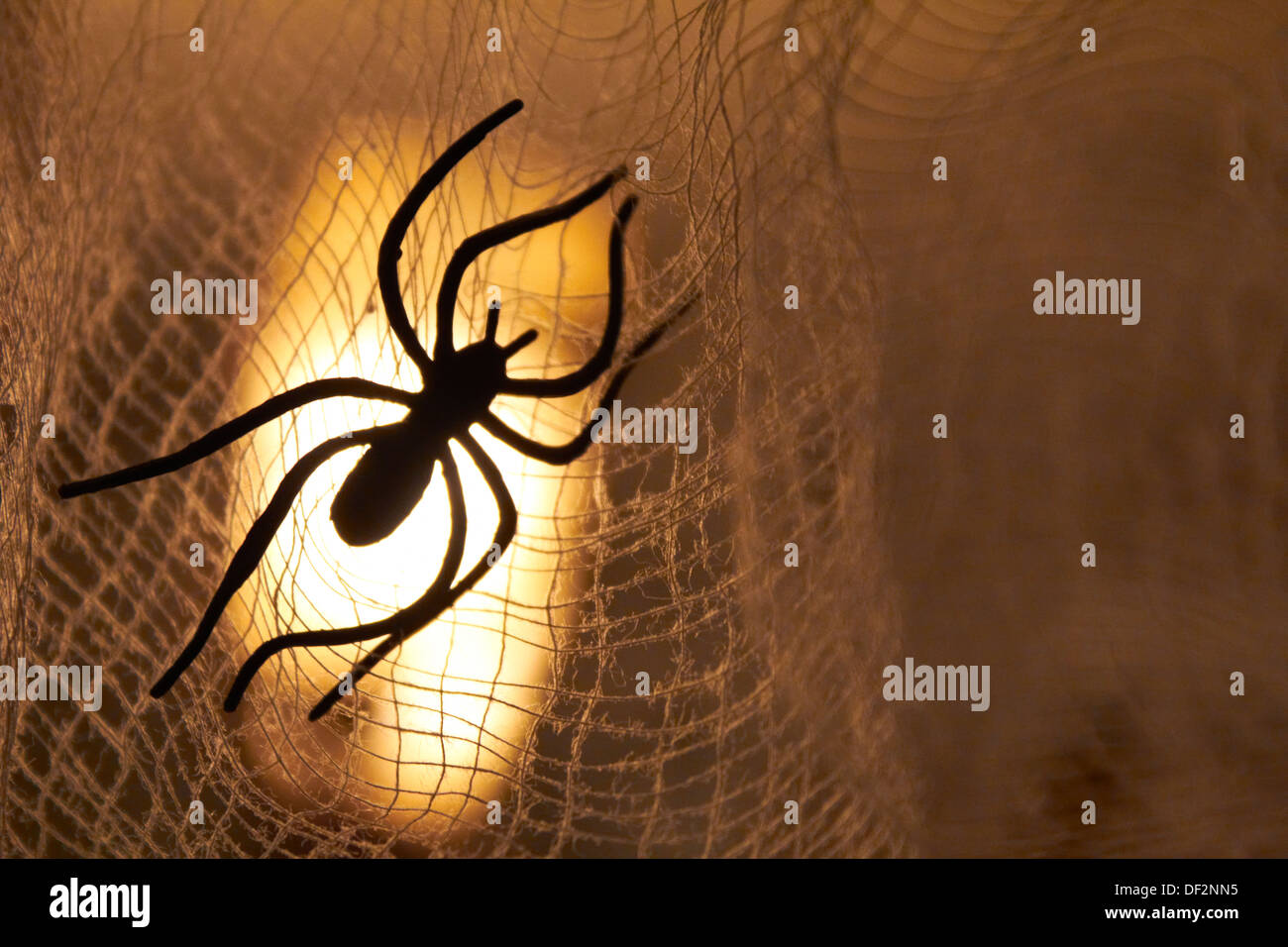 Spider Banque D'Images