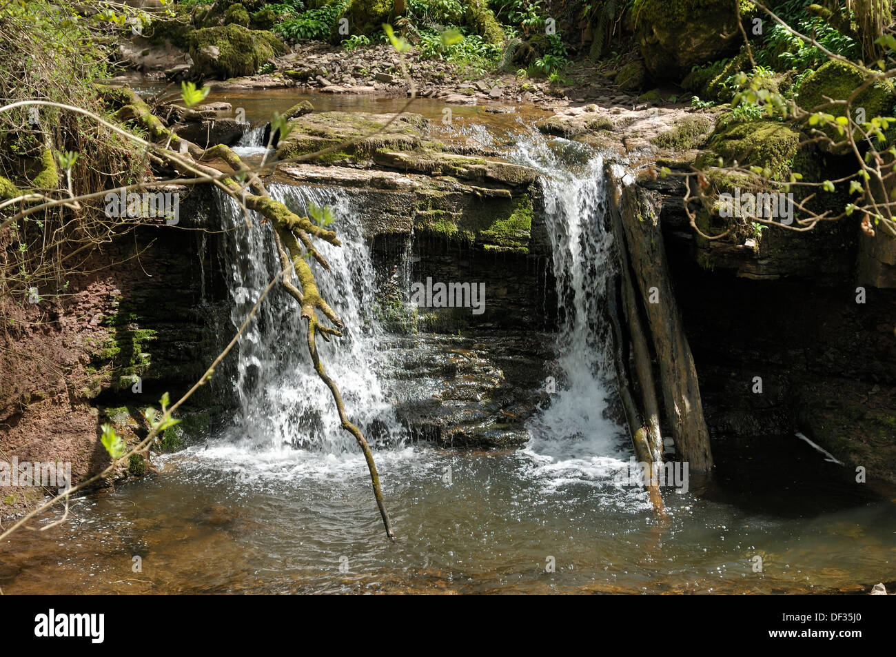 Cascade sur la rivière Enig à Pwll-y-Wrach près de Talgarth, au Pays de Galles Banque D'Images