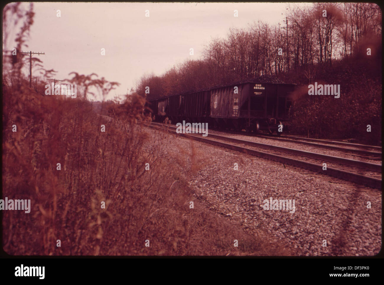 Les wagons à charbon sont chargés et prêts à être transportés près de Cadix, Ohio, et Steubenville, soulignant l'importance de la région dans l'industrie charbonnière et l'infrastructure de transport. Banque D'Images