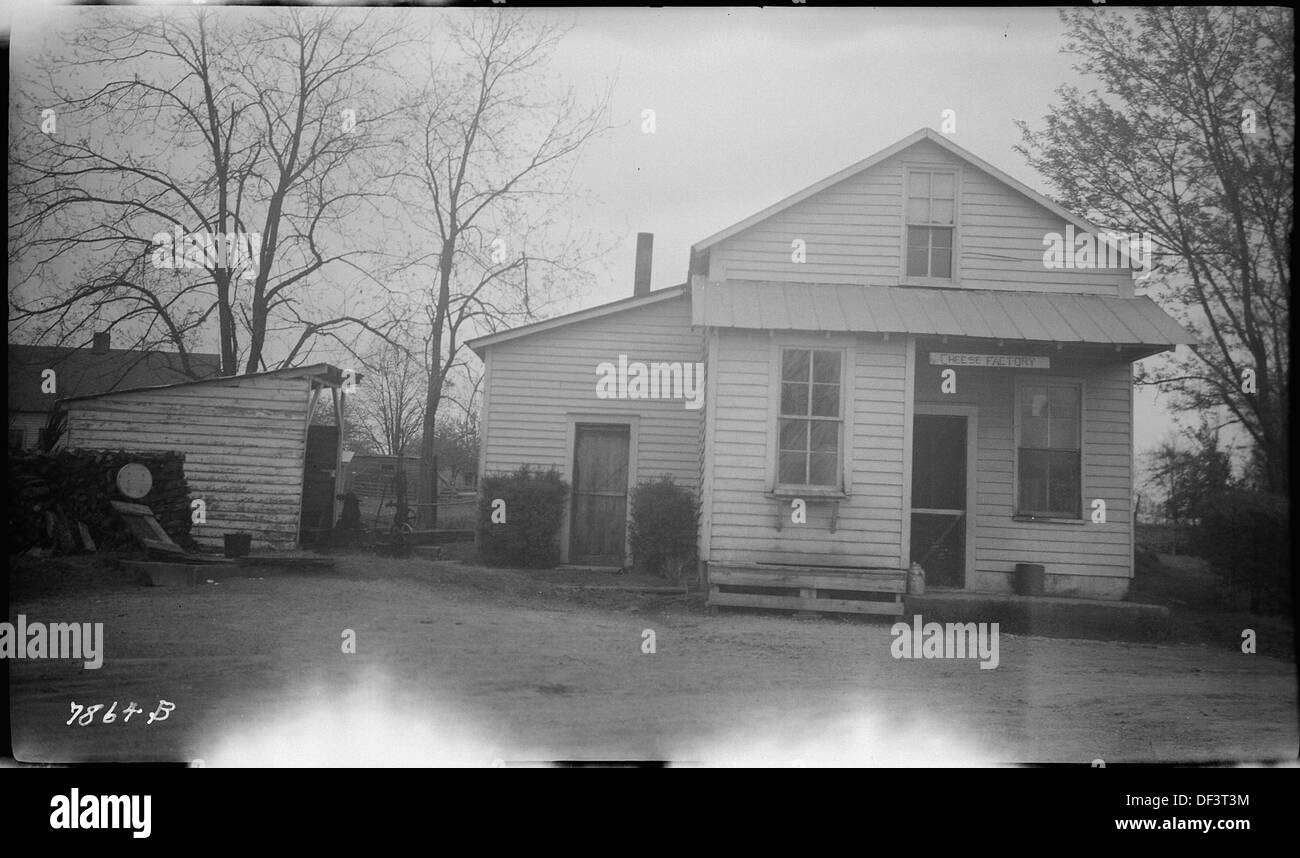 Une fromagerie coopérative, probablement au début du XXe siècle, où les producteurs laitiers travaillaient ensemble pour produire du fromage. Ce modèle d'agriculture coopérative était important dans les économies agricoles rurales. Banque D'Images