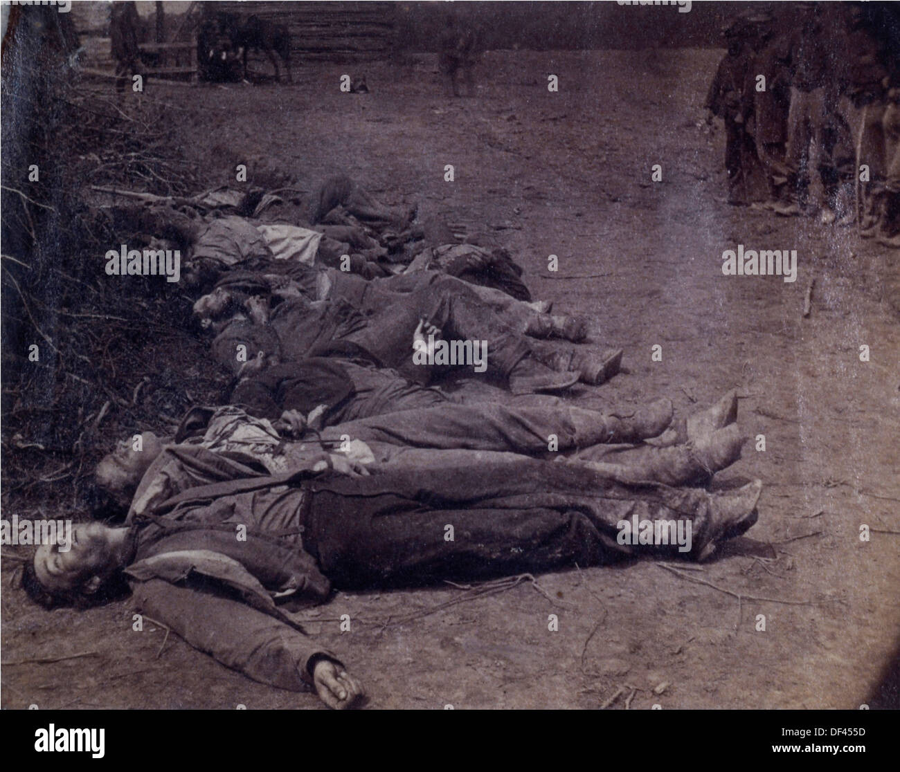 Les soldats confédérés morts près de Spotsylvania Courthouse, Virginia, 1864 Banque D'Images
