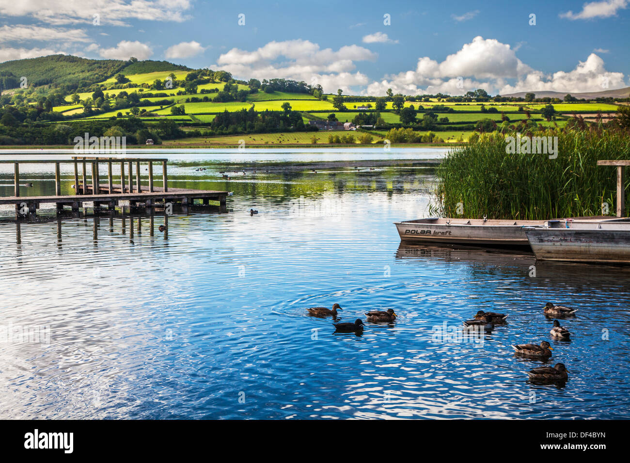 Vue sur Llangors Lake dans le parc national de Brecon Beacons, le Pays de Galles. Banque D'Images