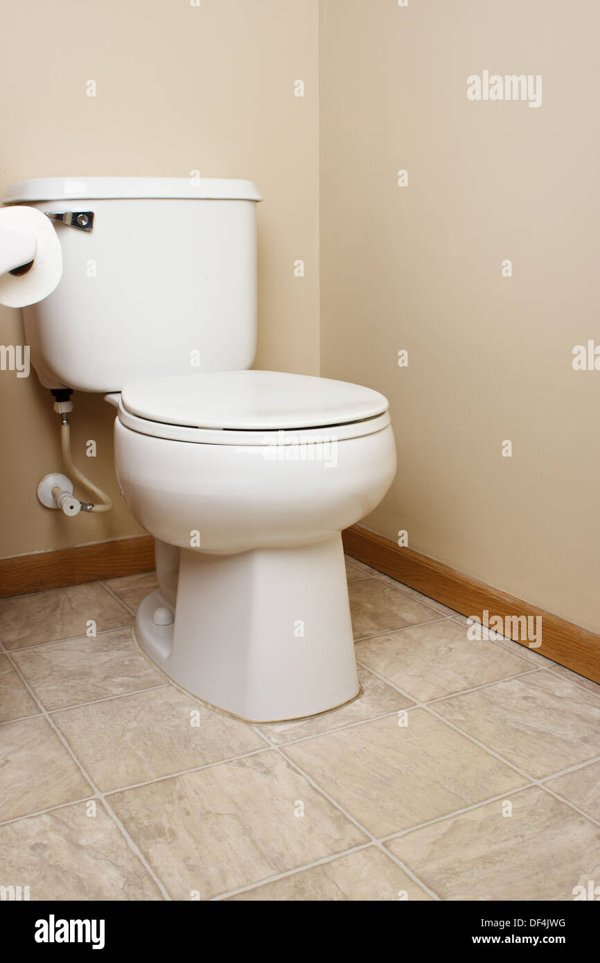 Blanc générique toilettes salle de bains aux parois en tan Banque D'Images