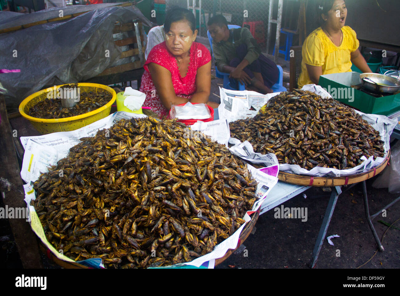 Des femmes vendent des insectes à un marché à Yangon, Birmanie. Banque D'Images