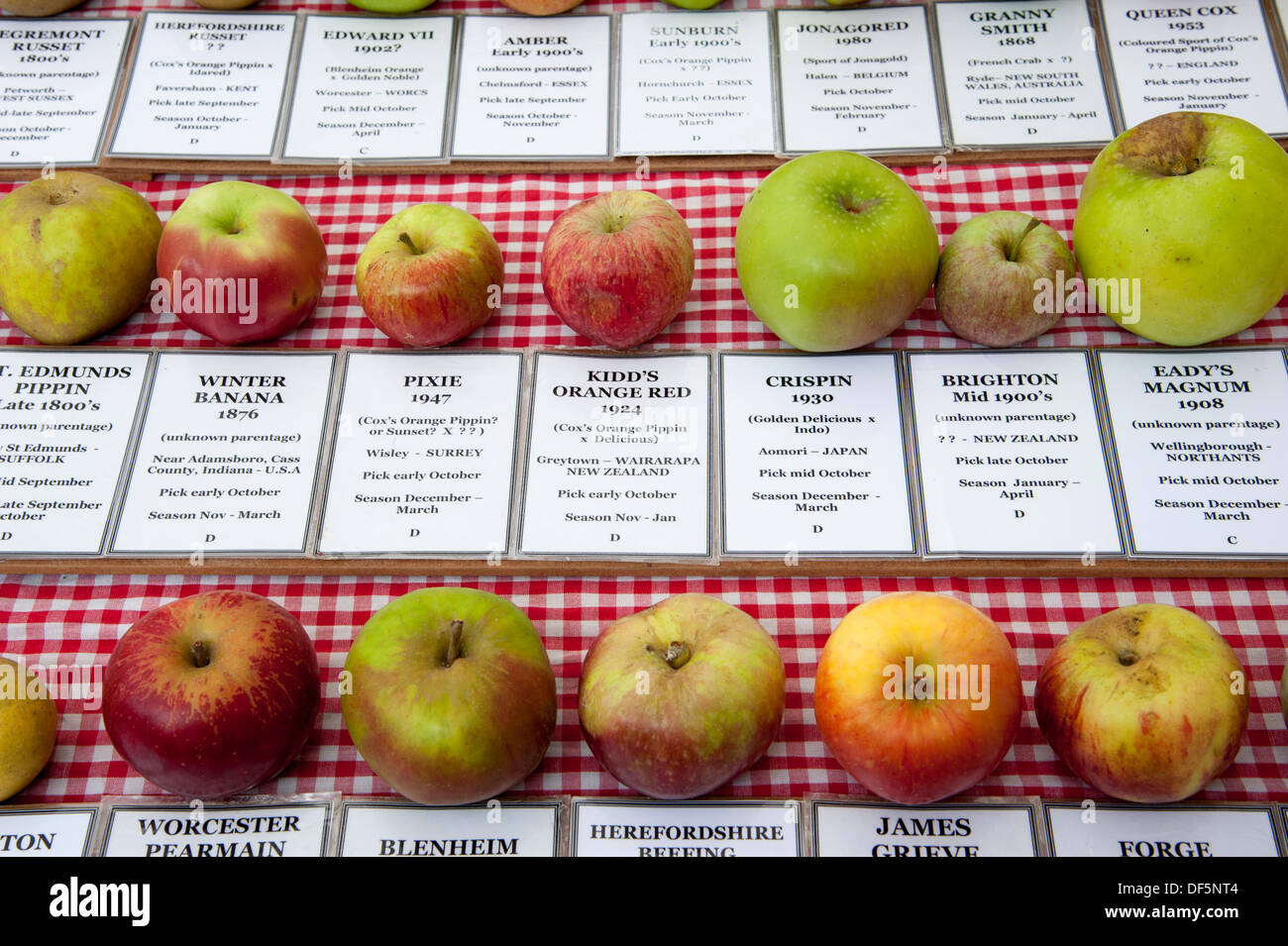 Sélection des pommes et les détails pertinents pour eux principalement cultivé au Royaume-Uni Banque D'Images