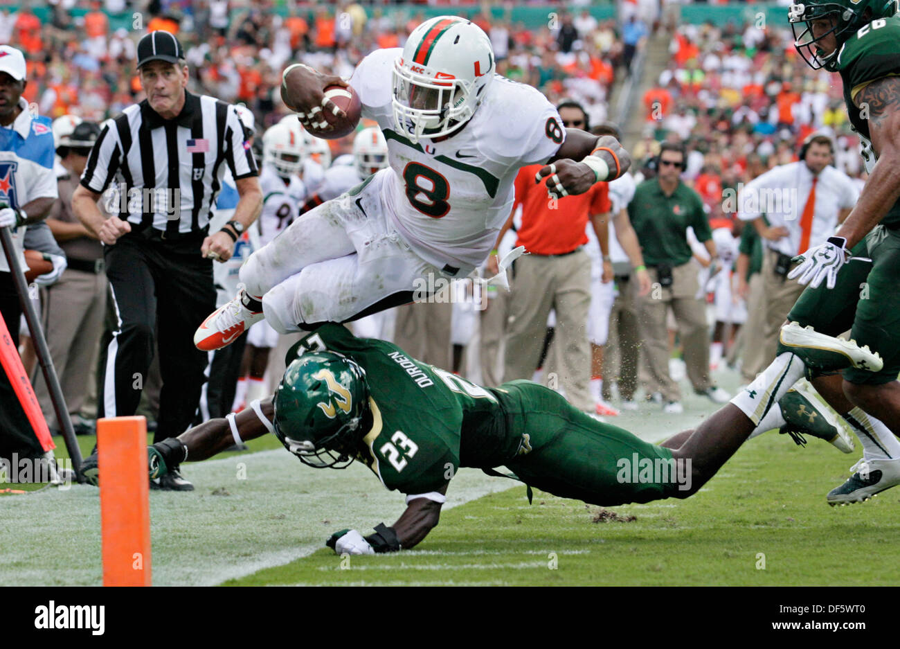 En Floride, aux États-Unis. 28 sept 2013. Miami Hurricanes d'utiliser de nouveau duc Johnson (8) gains neuf yards avant d'être frappé par le South Florida arrière défensif Kenneth Durden (23) au cours du deuxième trimestre chez Raymond James Stadium le samedi 28 septembre, 2013. (Crédit Image : © Daniel Wallace/Tampa Bay Times/ZUMAPRESS. Banque D'Images