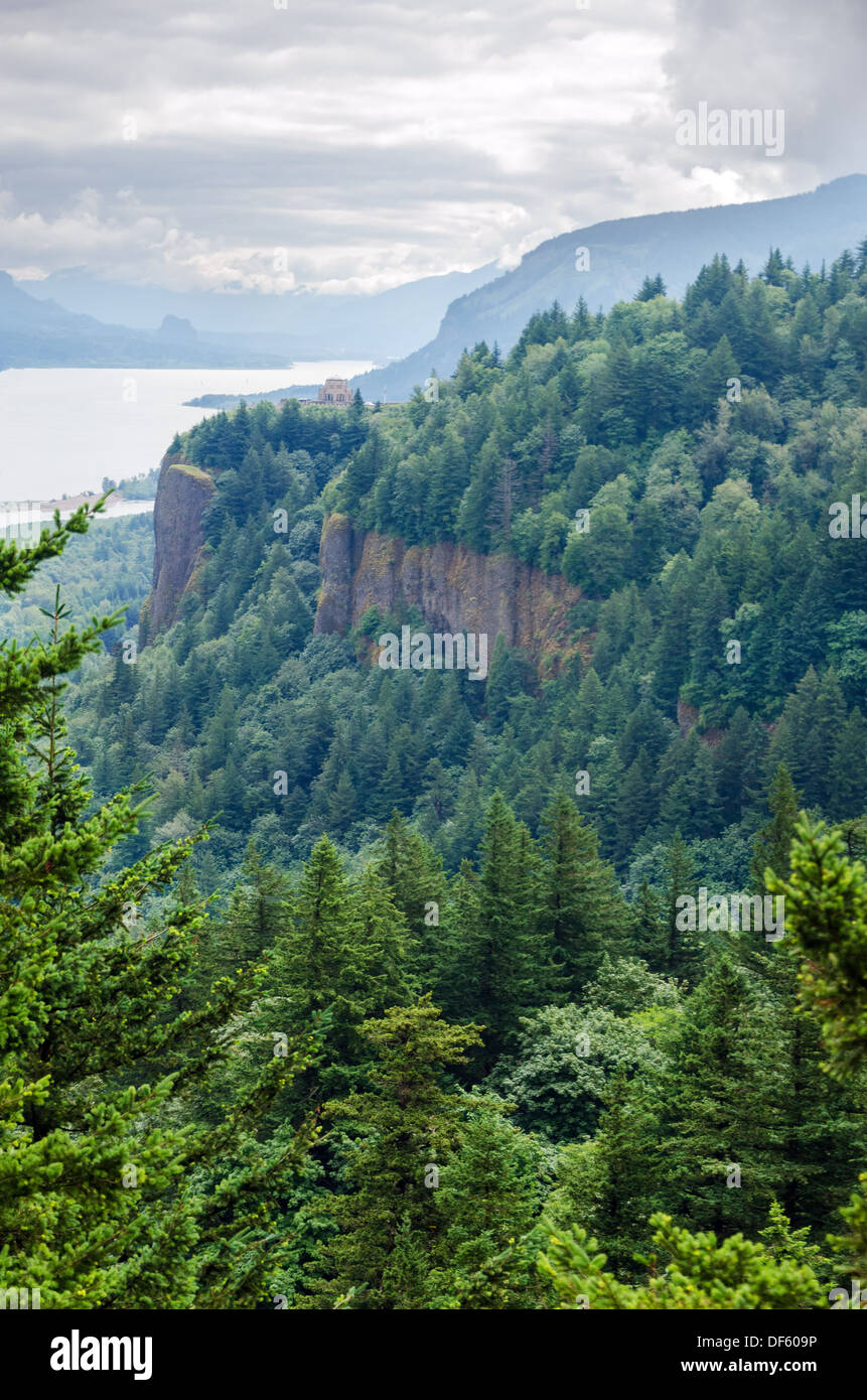 Falaises et forêts dans la gorge du Columbia dans l'Oregon Banque D'Images