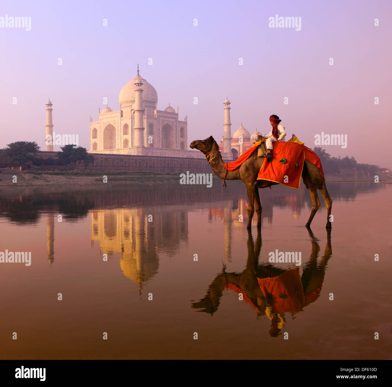 Garçon sur camel reflète dans Taj Mahal avec Yamuna River au-delà, de l'Inde, Uttar Pradesh, Agra. Banque D'Images