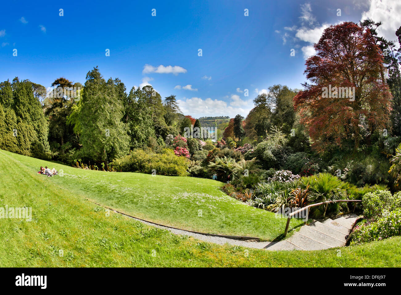 Jardin Trebah, Cornwall, UK Banque D'Images