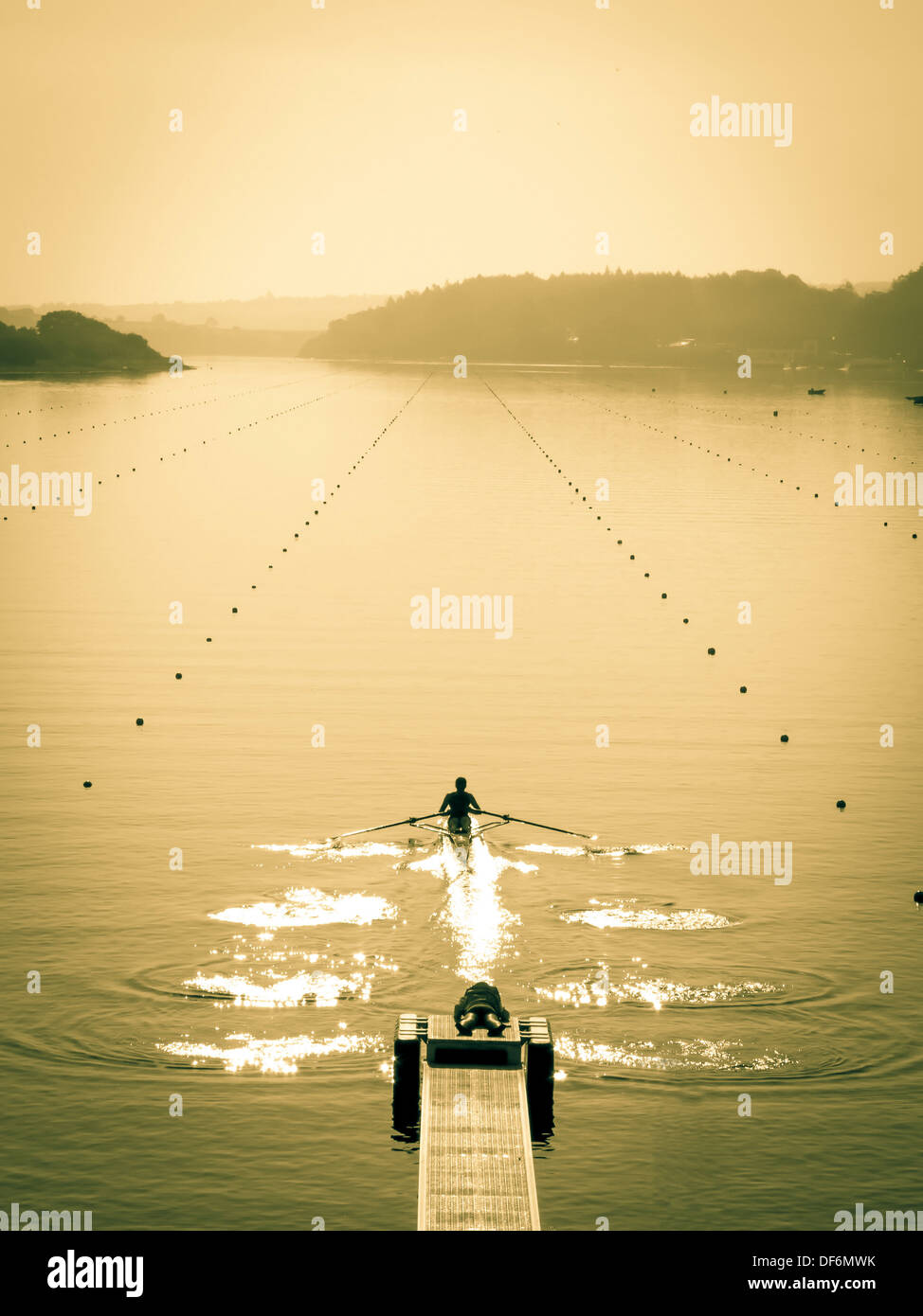 Les Championnats d'Aviron irlandais 2013. Bois de Farran Banque D'Images