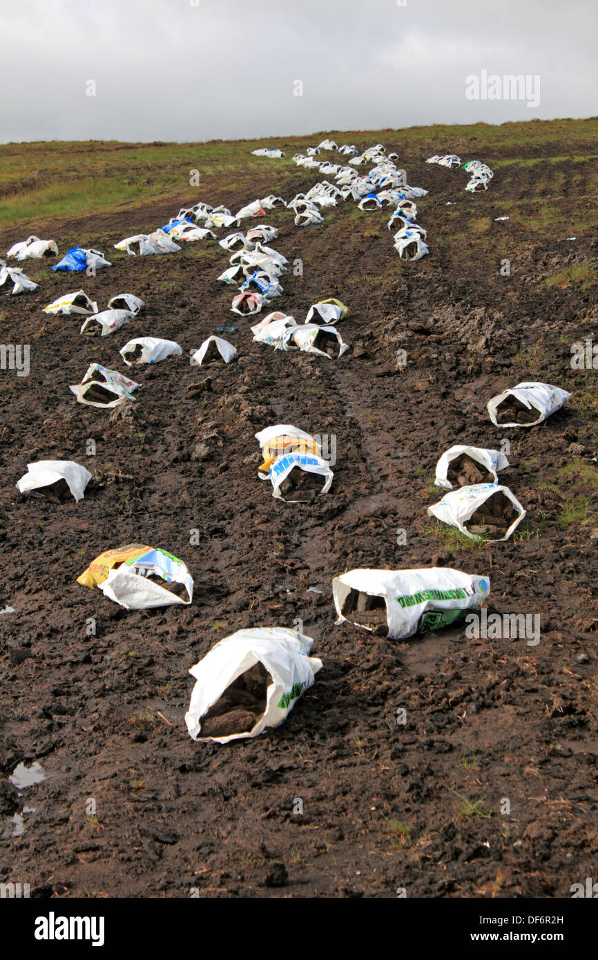 Sacs de gazon (blocs de tourbe pour la gravure) sèche dans les champs le long de la R250 à l'ouest de Letterkenny, comté de Donegal, Irlande. Banque D'Images