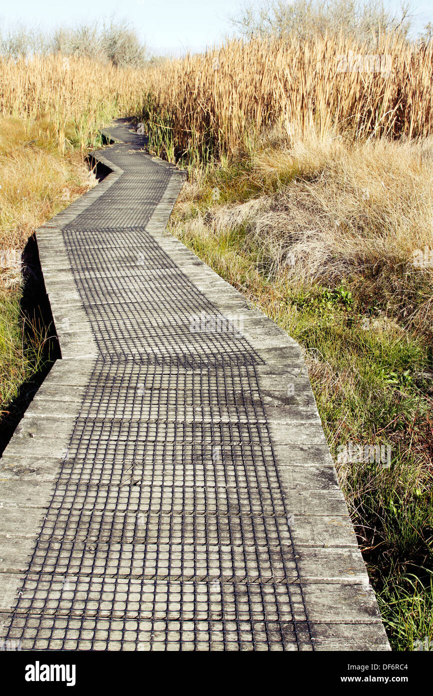Promenade en bois menant dans les zones humides Banque D'Images