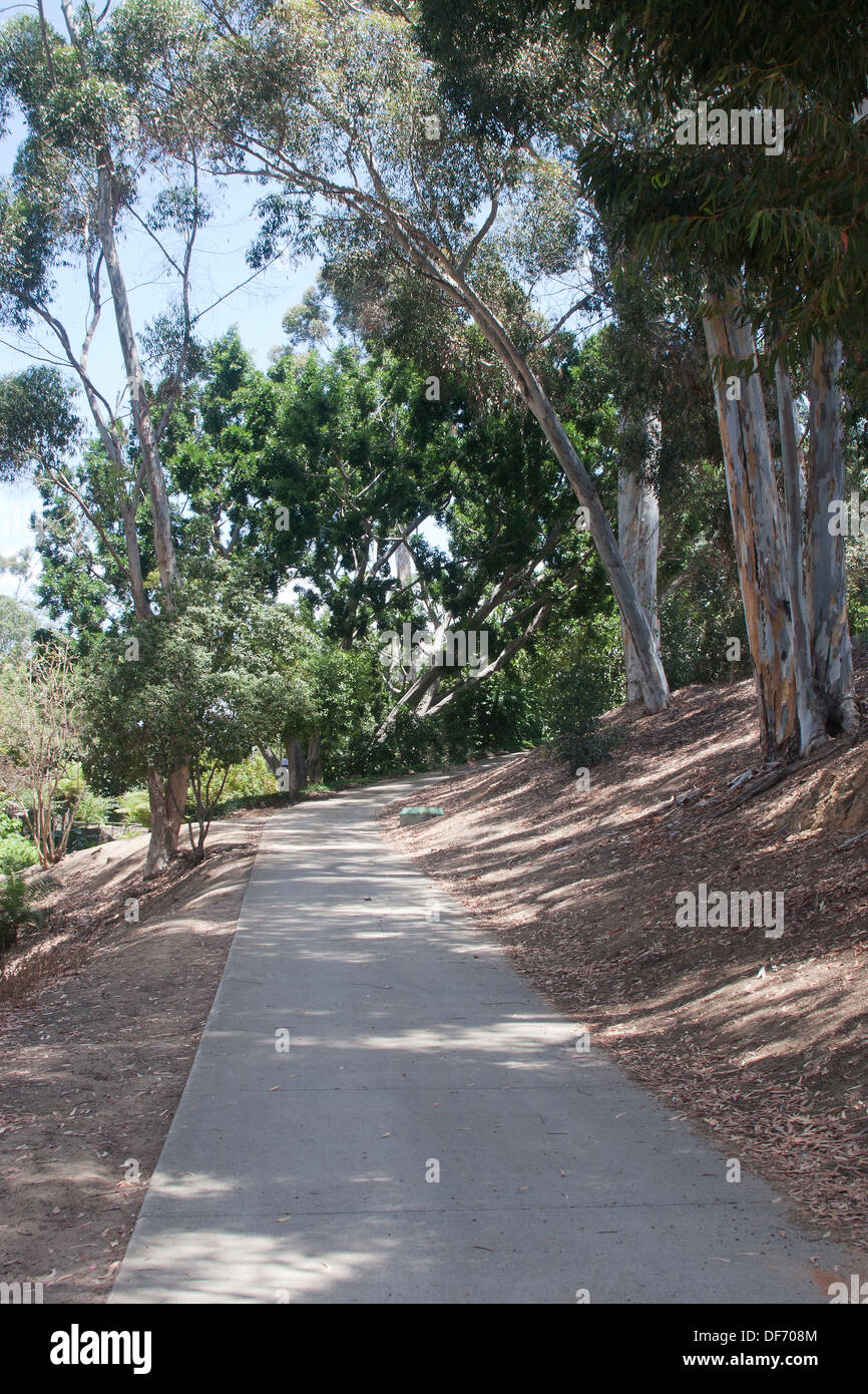 Trail ou un sentier qui serpente dans le Balboa Park, San Diego, CA. Banque D'Images