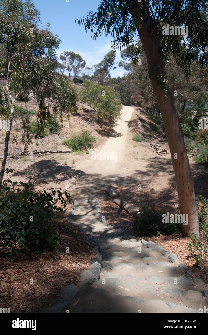 Trail ou un sentier qui serpente dans le Balboa Park, San Diego, CA. Banque D'Images