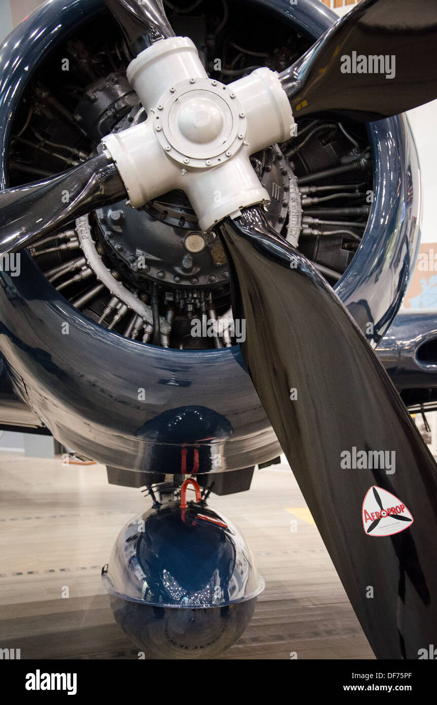 Combattant de la marine Banque D'Images