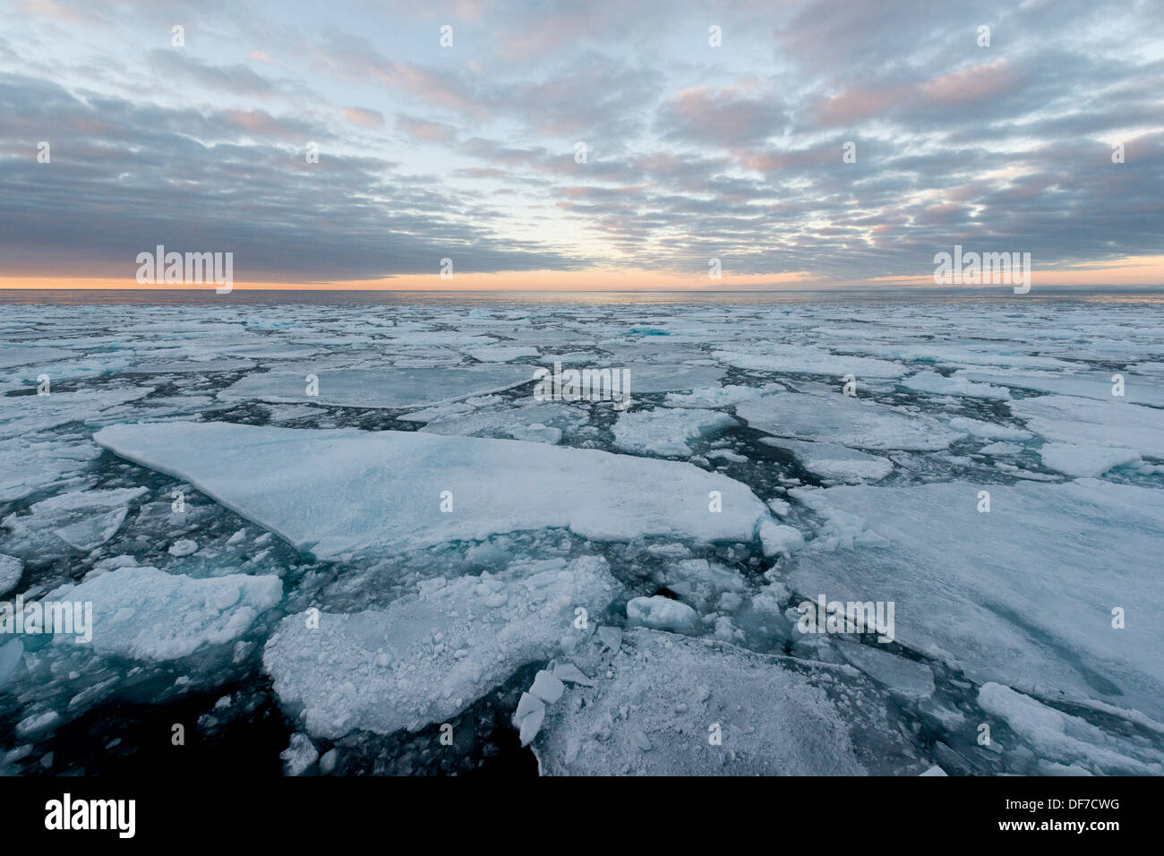 Des blocs de glace, la banquise, l'humeur du soir, l'océan Arctique, l'archipel du Svalbard, l'île de Spitsbergen, Svalbard et Jan Mayen (Norvège) Banque D'Images