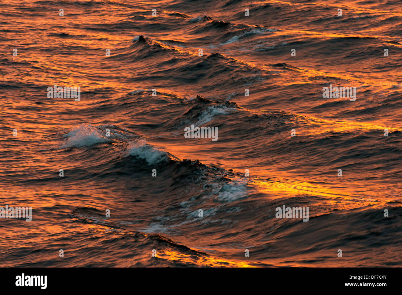 Vagues de proue dans la lumière du soir, l'océan Arctique, l'archipel du Svalbard, l'île de Spitsbergen, Svalbard et Jan Mayen (Norvège) Banque D'Images Vagues de proue dans la lumière du soir, l'océan Arctique, l'archipel du Svalbard, l'île de Spitsbergen, Svalbard et Jan Mayen (Norvège) Banque D'Images