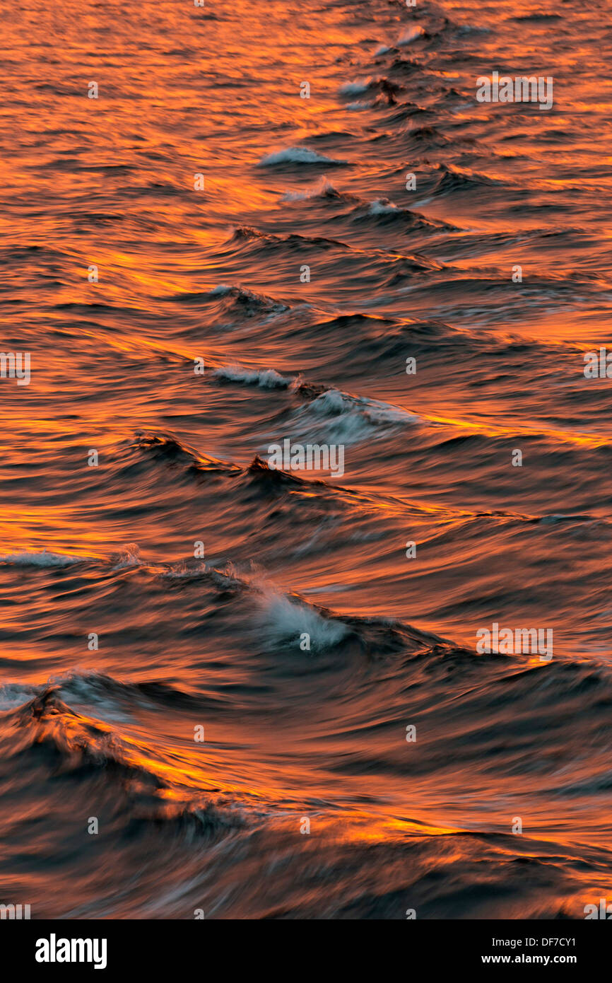Vagues de proue dans la lumière du soir, l'océan Arctique, l'archipel du Svalbard, l'île de Spitsbergen, Svalbard et Jan Mayen (Norvège) Banque D'Images Vagues de proue dans la lumière du soir, l'océan Arctique, l'archipel du Svalbard, l'île de Spitsbergen, Svalbard et Jan Mayen (Norvège) Banque D'Images