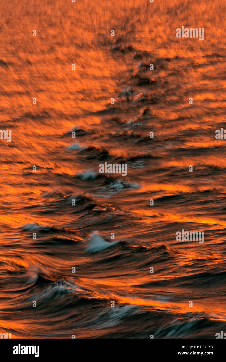 Vagues de proue dans la lumière du soir, l'océan Arctique, l'archipel du Svalbard, l'île de Spitsbergen, Svalbard et Jan Mayen (Norvège) Banque D'Images Vagues de proue dans la lumière du soir, l'océan Arctique, l'archipel du Svalbard, l'île de Spitsbergen, Svalbard et Jan Mayen (Norvège) Banque D'Images
