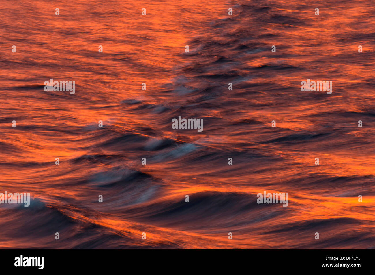 Vagues de proue dans la lumière du soir, l'océan Arctique, l'archipel du Svalbard, l'île de Spitsbergen, Svalbard et Jan Mayen (Norvège) Banque D'Images Vagues de proue dans la lumière du soir, l'océan Arctique, l'archipel du Svalbard, l'île de Spitsbergen, Svalbard et Jan Mayen (Norvège) Banque D'Images