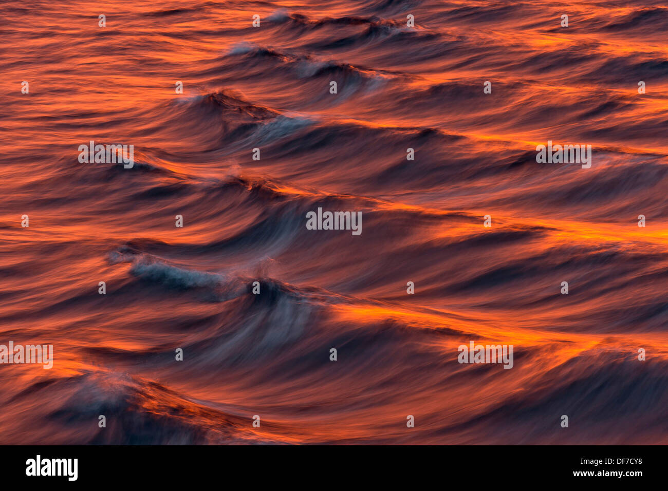Vagues de proue dans la lumière du soir, l'océan Arctique, l'archipel du Svalbard, l'île de Spitsbergen, Svalbard et Jan Mayen (Norvège) Banque D'Images Vagues de proue dans la lumière du soir, l'océan Arctique, l'archipel du Svalbard, l'île de Spitsbergen, Svalbard et Jan Mayen (Norvège) Banque D'Images