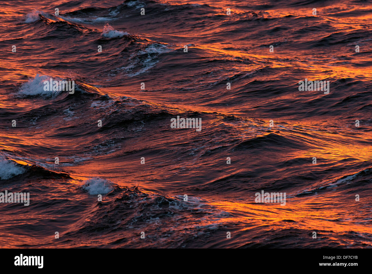 Vagues de proue dans la lumière du soir, l'océan Arctique, l'archipel du Svalbard, l'île de Spitsbergen, Svalbard et Jan Mayen (Norvège) Banque D'Images Vagues de proue dans la lumière du soir, l'océan Arctique, l'archipel du Svalbard, l'île de Spitsbergen, Svalbard et Jan Mayen (Norvège) Banque D'Images