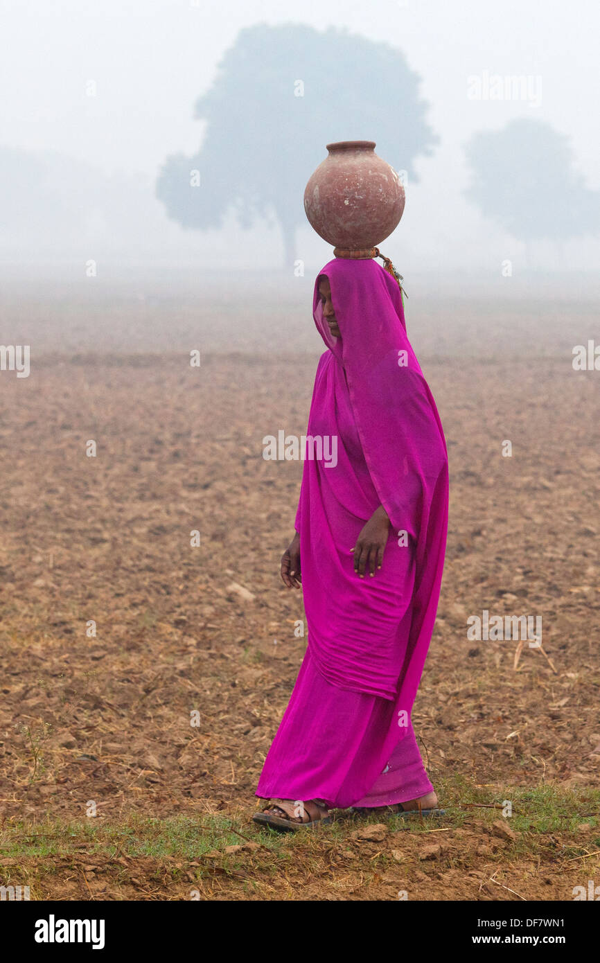 L'Inde, Uttar Pradesh, woman walking through misty field portant de l'eau pot sur sa tête Banque D'Images