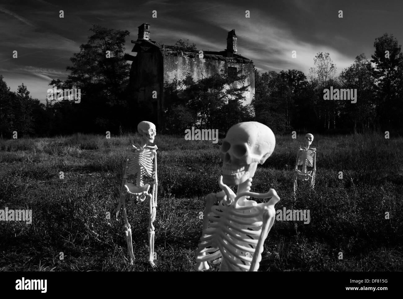 Des squelettes de marche Banque D'Images