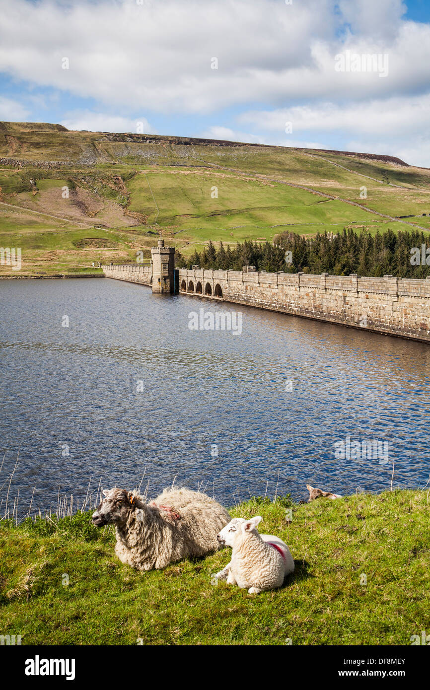 Maison de cicatrice dans réservoir Nidderdale, Yorkshire du Nord. Banque D'Images