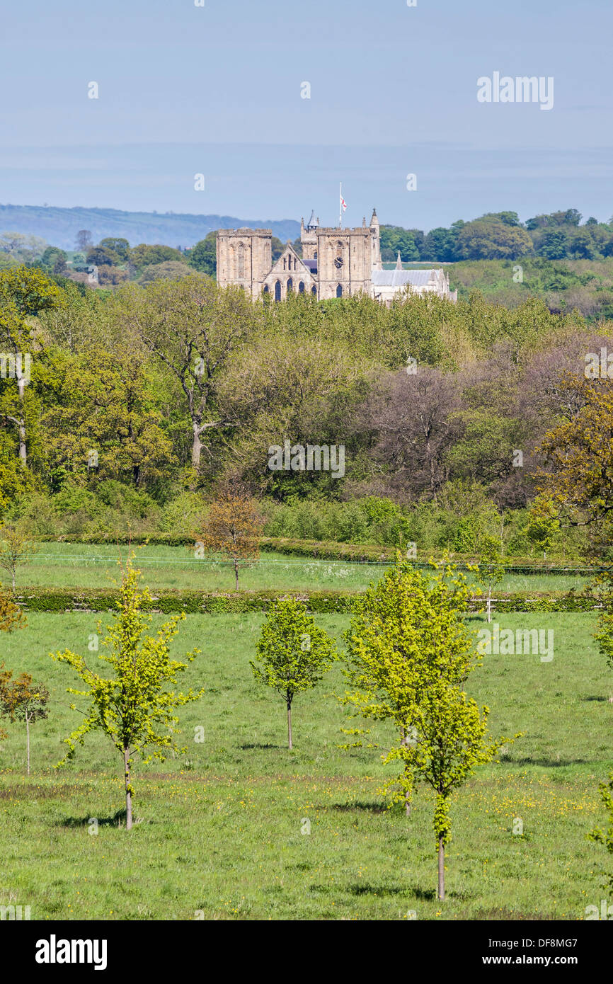 Vue éloignée sur la cathédrale de Ripon, Yorkshire du Nord. Banque D'Images