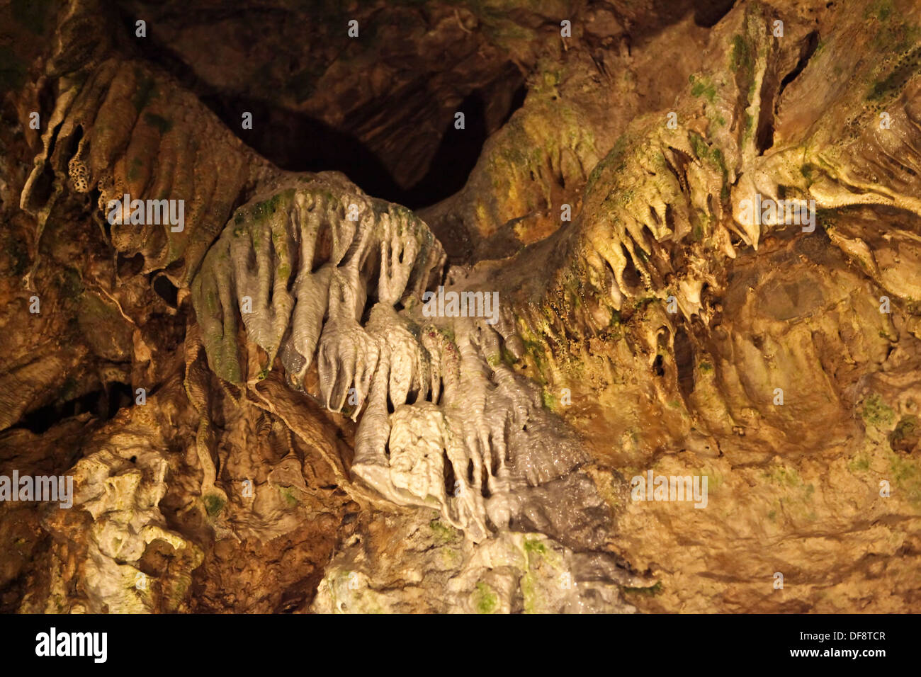 Coulées stalagmitiques sont vus dans Howe Caverns à Howes Cave, NY Banque D'Images