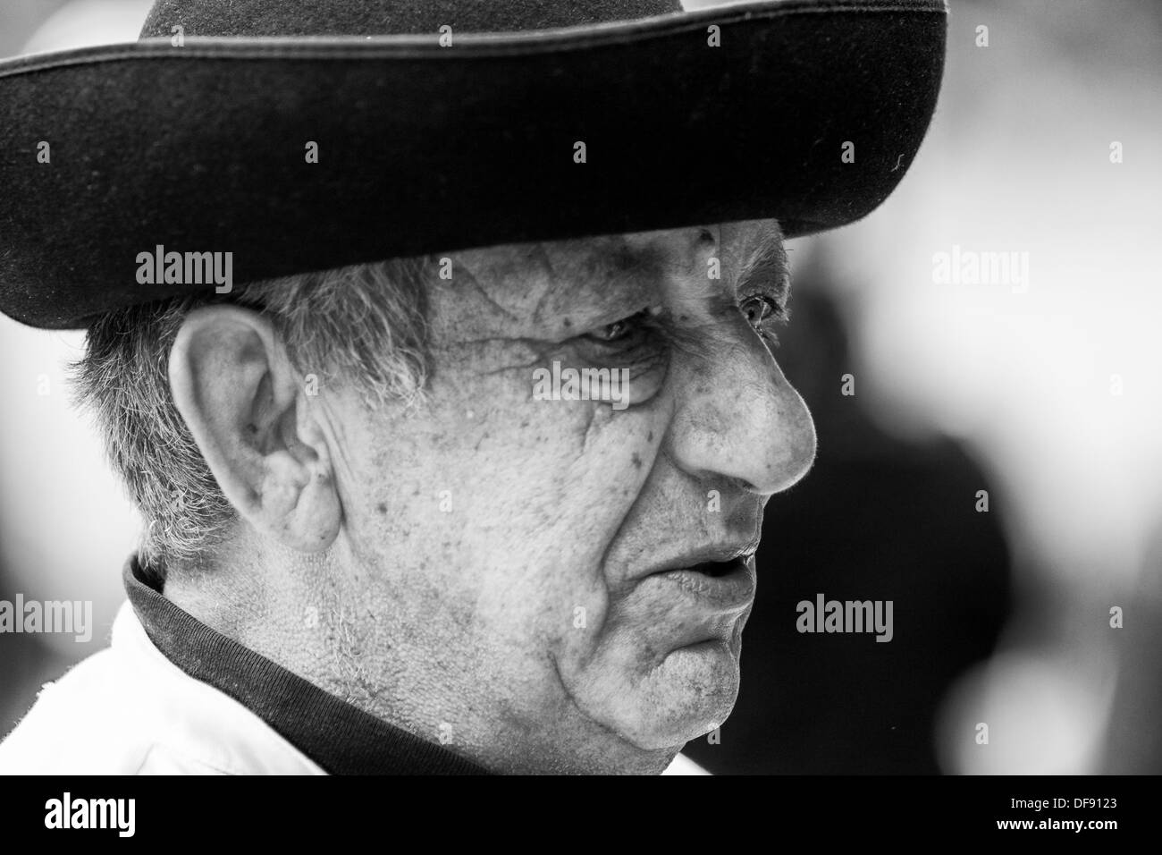 Portrait de l'ancien sculpteur sur bois Banque D'Images