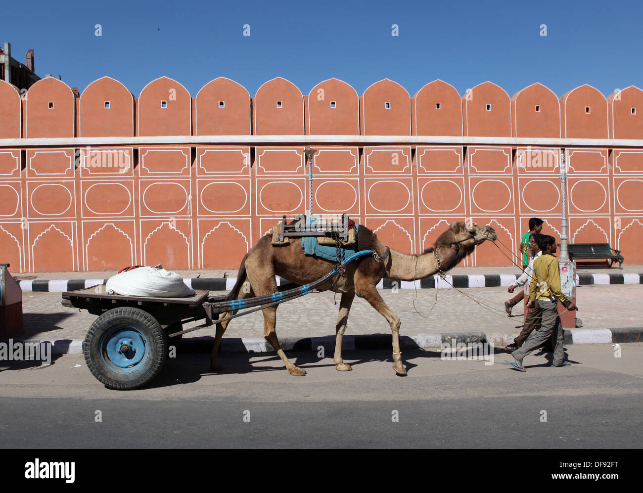 Camel tirant un chariot à deux roues à Jaipur, Rajasthan, Inde, Asie Banque D'Images