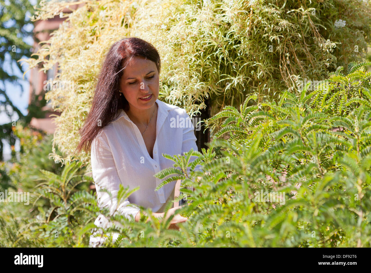 Middle aged woman enjoying the garden Banque D'Images