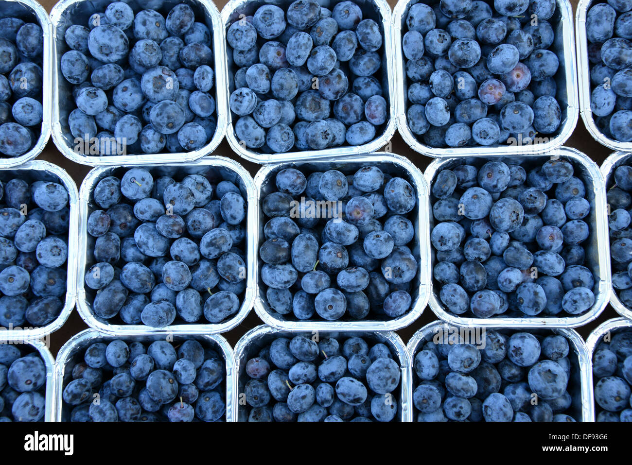Les bleuets au marché. Banque D'Images