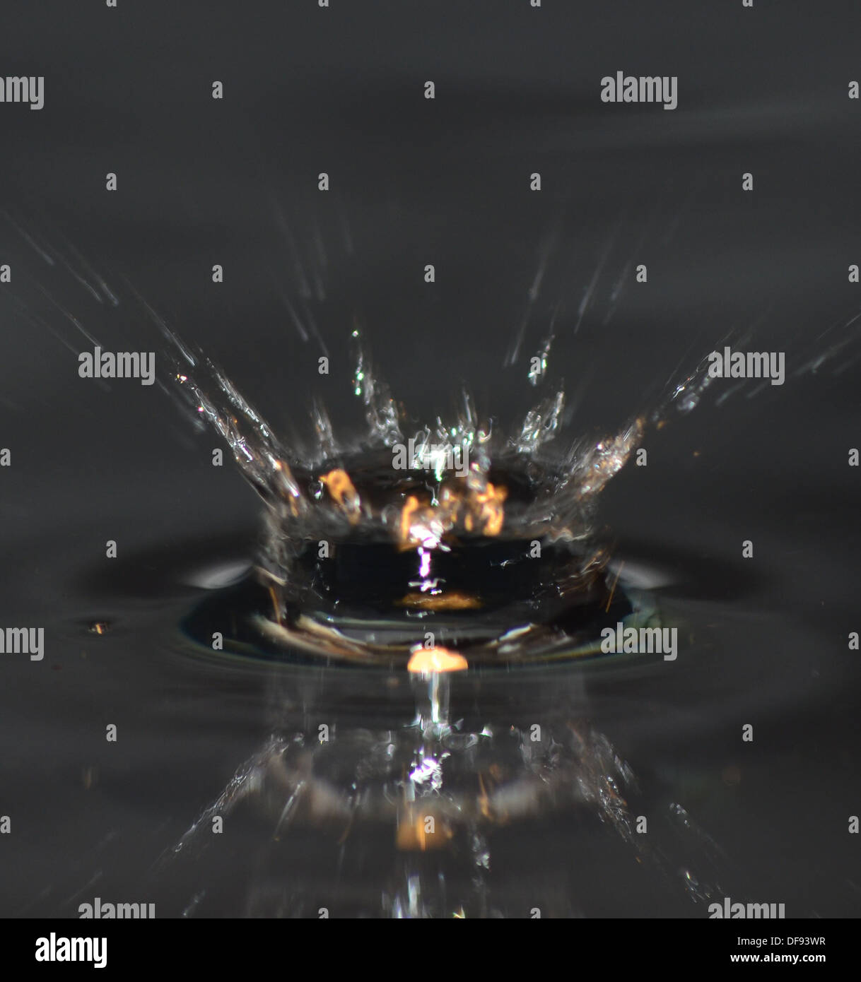 Figé dans le temps les gouttes et éclaboussures d'eau Banque D'Images