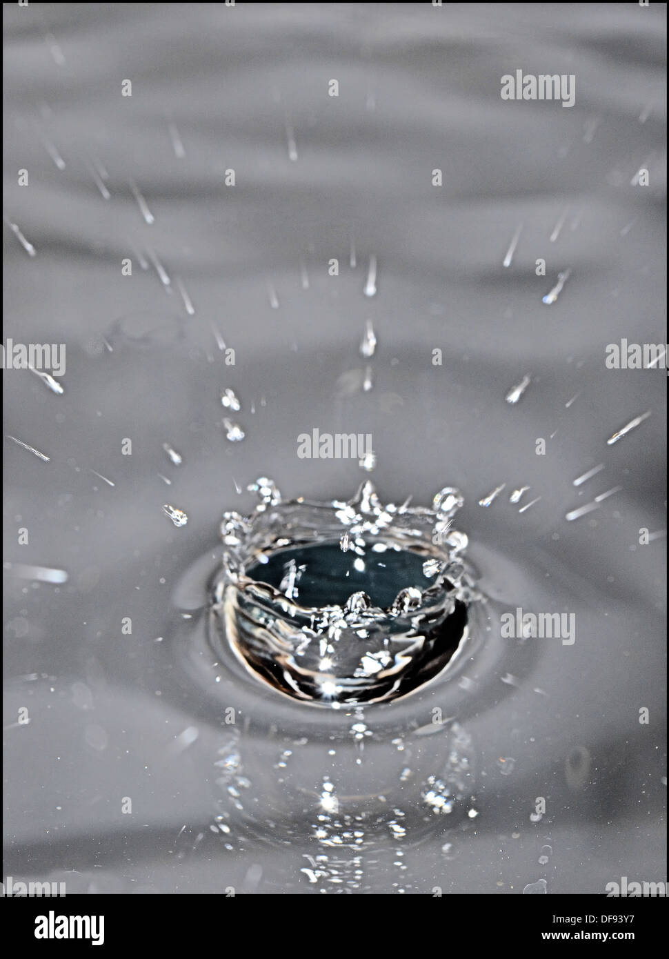 Figé dans le temps les gouttes et éclaboussures d'eau Banque D'Images