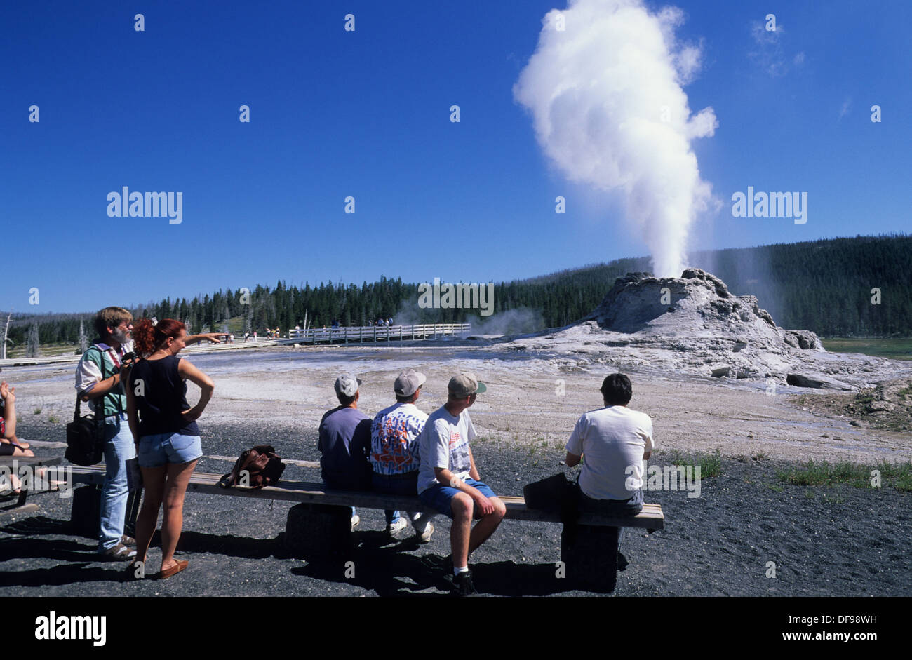 Elk265-1303 du Wyoming, Yellowstone National Park, Upper Geyser Basin, Castle Geyser Banque D'Images