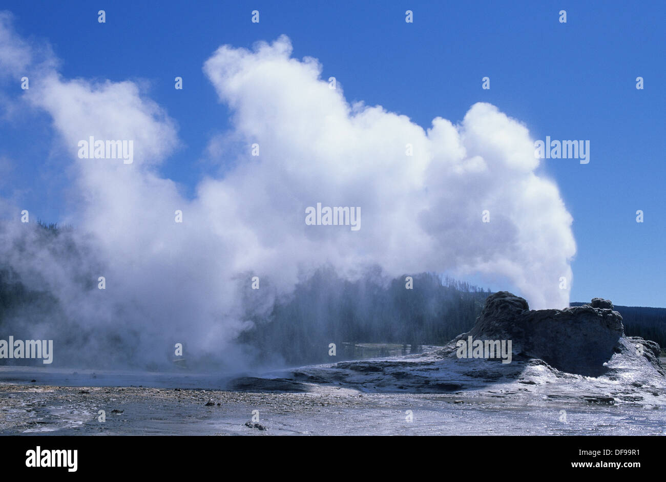 265-1312 le Parc National de Yellowstone, Wyoming, Upper Geyser Basin, Castle Geyser Banque D'Images
