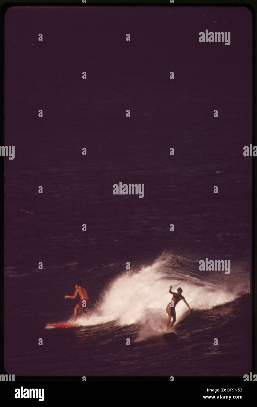 Le surf à Hookipa Park, dans le comté de Maui, est une activité populaire, connue pour ses vagues difficiles et sa côte pittoresque, attirant les surfeurs expérimentés et novices. Banque D'Images